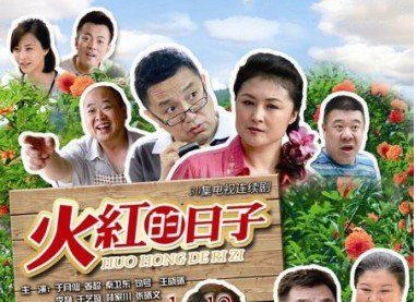 石榴紅了DVD,火紅的日子DVD,露天商城露天DVD-www.rutenmall.com