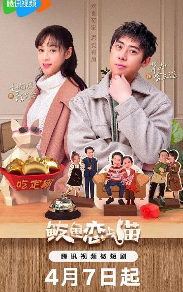 鮁魚愛上貓DVD,鮁魚圈DVD,露天商城露天DVD-www.rutenmall.com