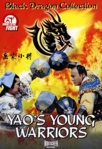 嶽家小將DVD,露天商城露天DVD-www.rutenmall.com