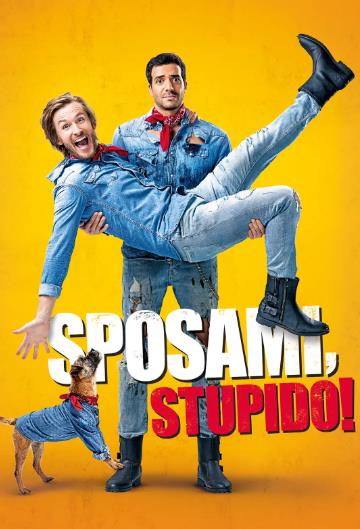 電影【兄弟嫁給我好嗎/嫁我吧哥們/Marry Me, Dude】2017年